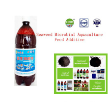 Seaweed Microbial Aquaculture Feed Additive